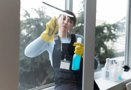 Nettoyage de vitres intérieures et extérieures à Tiranges